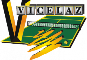 logo Vizelaz