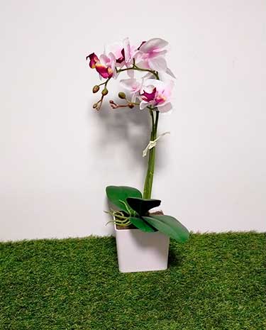 orquidea-blanca-y-rosa-artificial