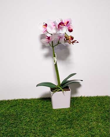 planta-artificial-orquiedea-rosa-y-blanca