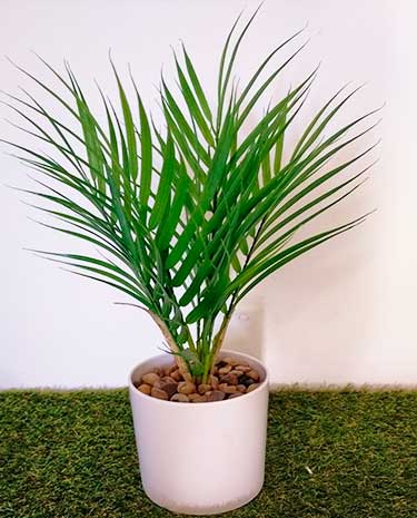 planta-artificial-palmera-mediana